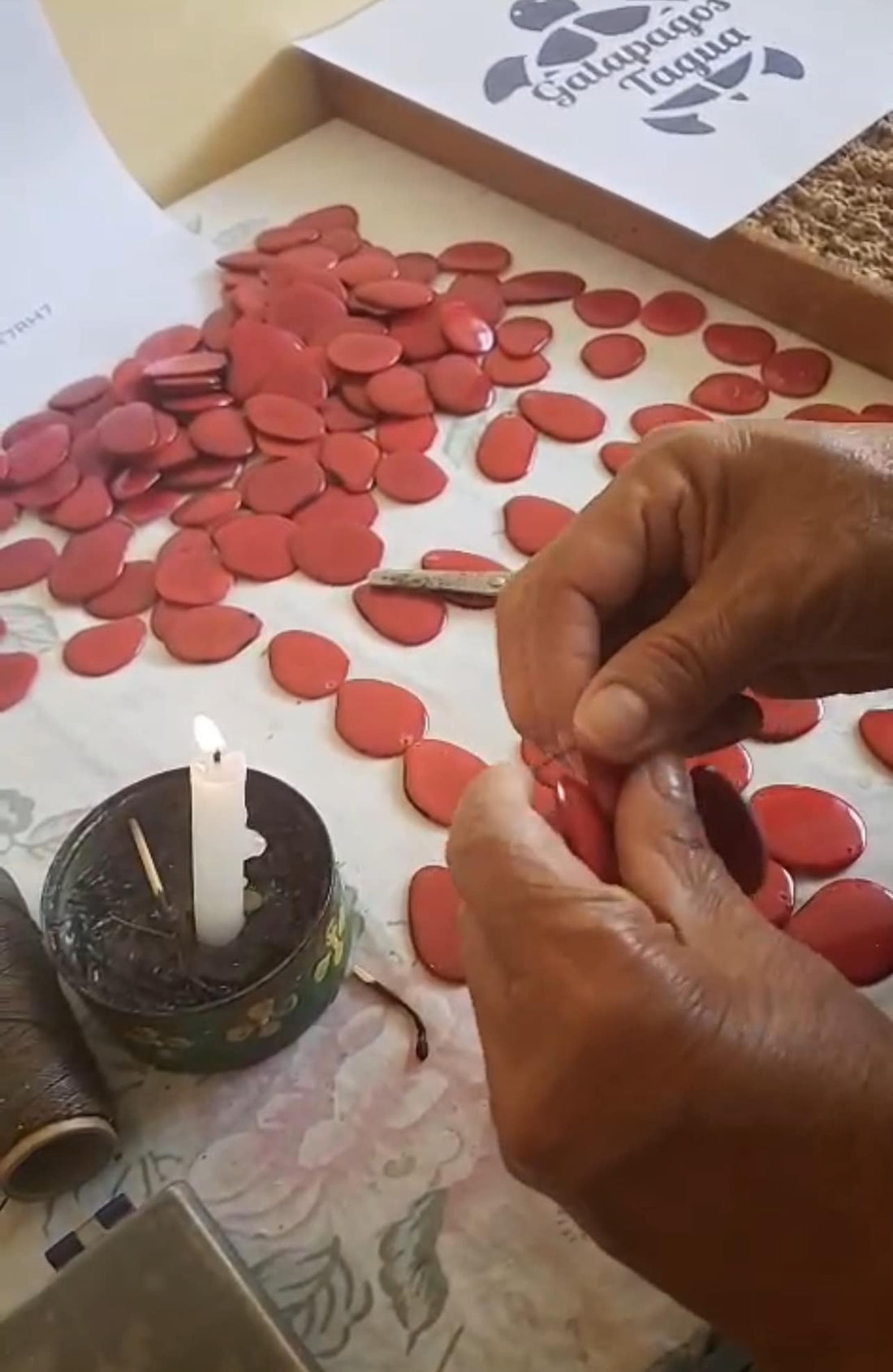 Handmade with Purpose: The Fair Trade Promise of Galapagos Tagua Brand Jewelry